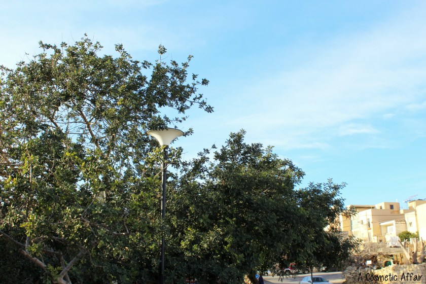 Malta, travel, Qrendi