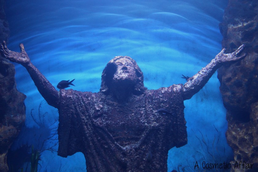 ACA Malta Aquarium 10