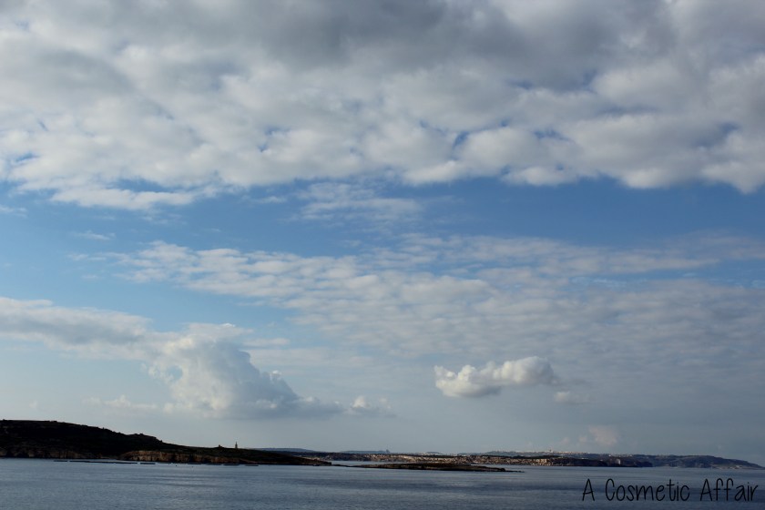 ACA Malta Aquarium 15